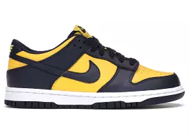 Nike Dunk Michigan (GS)